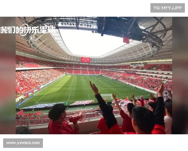 上海上港新球场地址详细介绍及周边设施规划全解析 上海上港新球场地址详细介绍及周边设施规划全解析